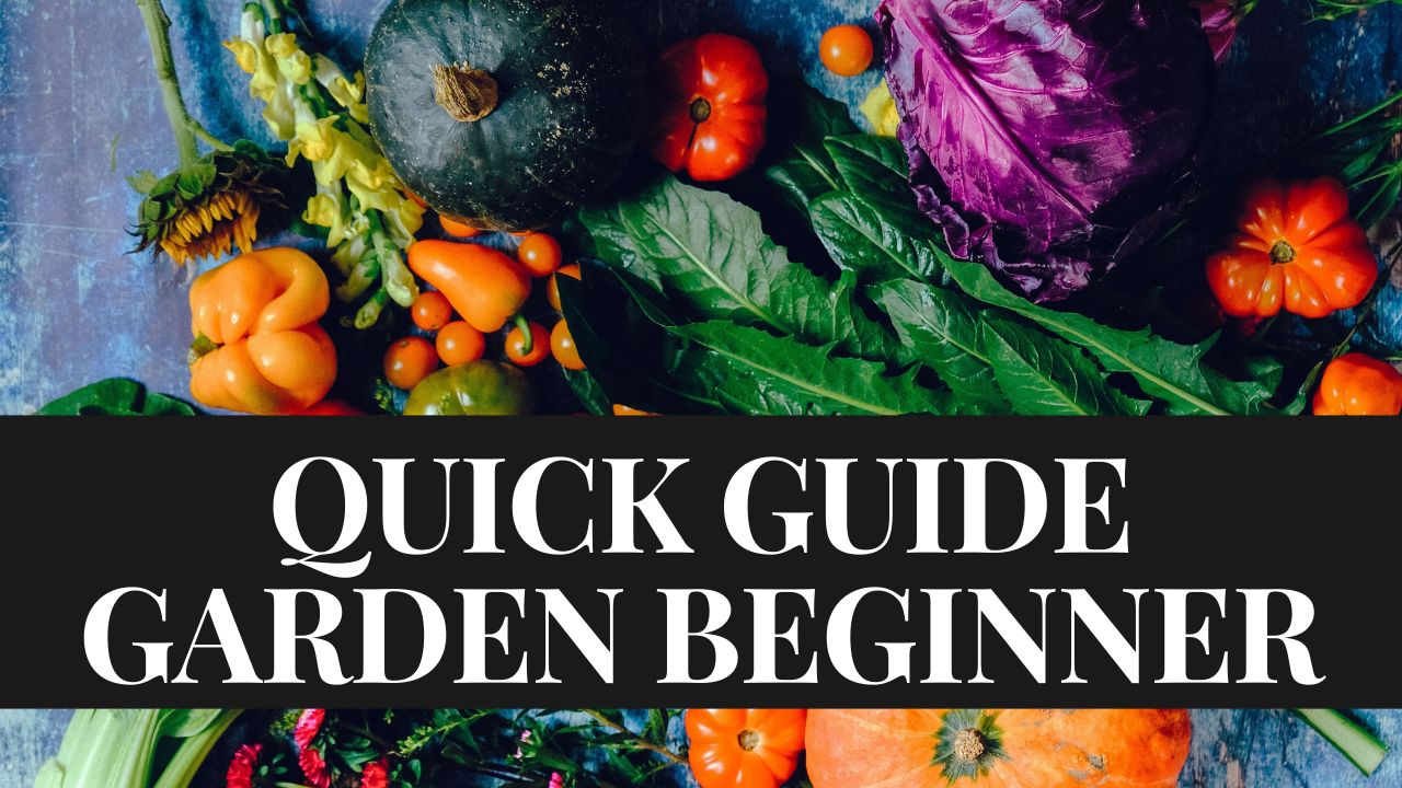 Gardening For Beginners Guide [14 Tips To Be Successful]