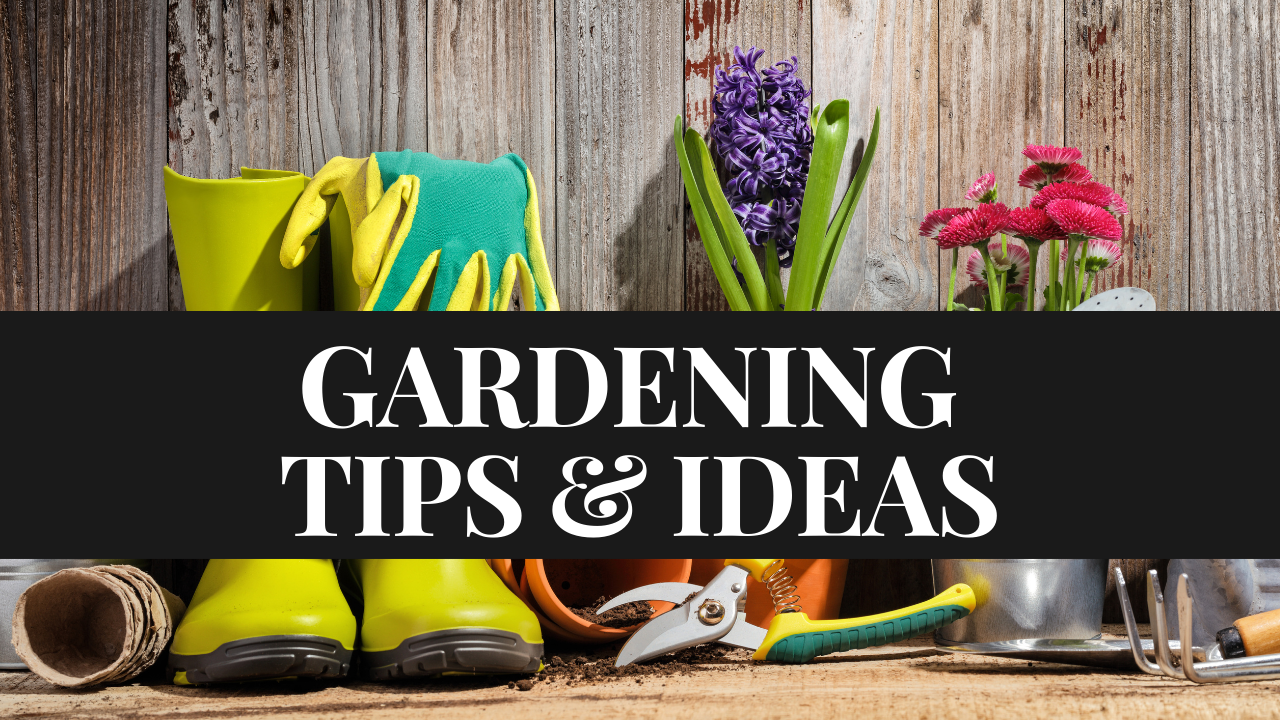 gardening-tutorial-for-beginners-time-saving-gardening-tips-simple